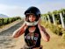 TORC T-1 Full Face Helmet Iso Bars