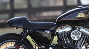 Burly Café Racer Tail Section for Sportster
